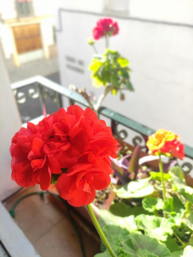 Appartamento Vive Triana Siviglia Esterno foto