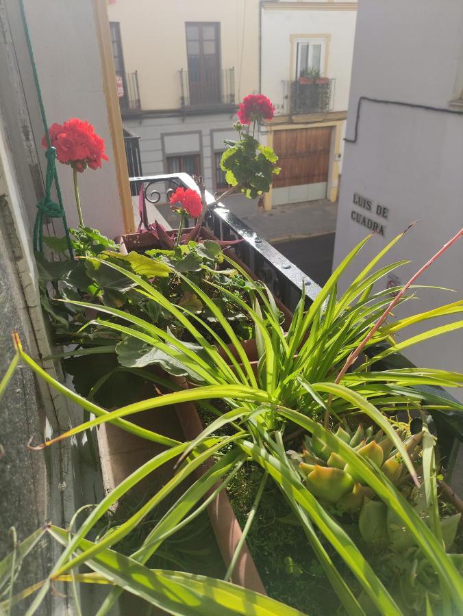 Appartamento Vive Triana Siviglia Esterno foto