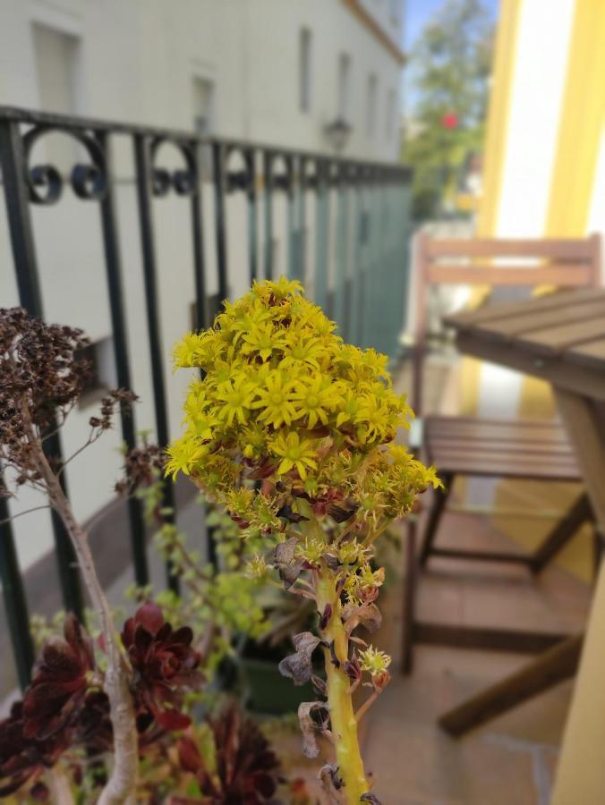 Appartamento Vive Triana Siviglia Esterno foto