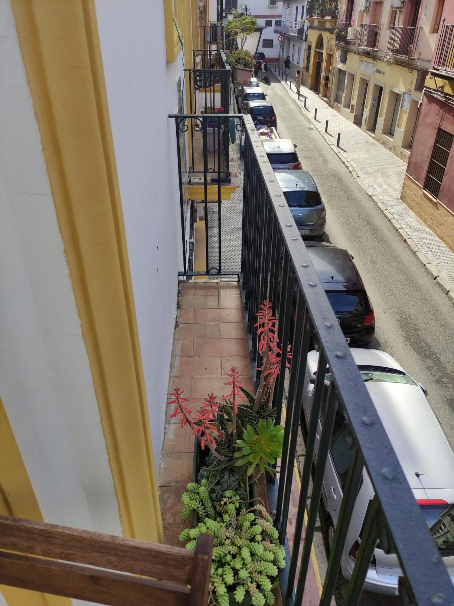 Appartamento Vive Triana Siviglia Esterno foto
